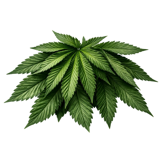 Crafted with clean ingredients