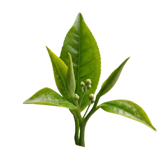 Crafted with clean ingredients