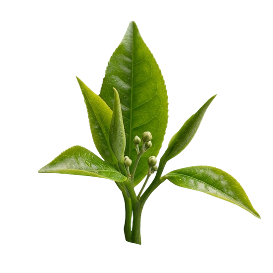 Crafted with clean ingredients