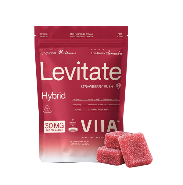 Levitate Hybrid Gummies - 30mg THC