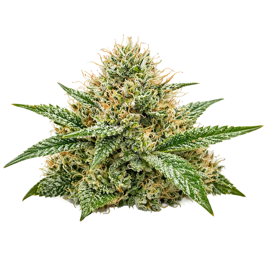 Crafted with clean ingredients