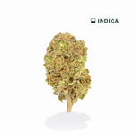 Smarties High THCA Flower