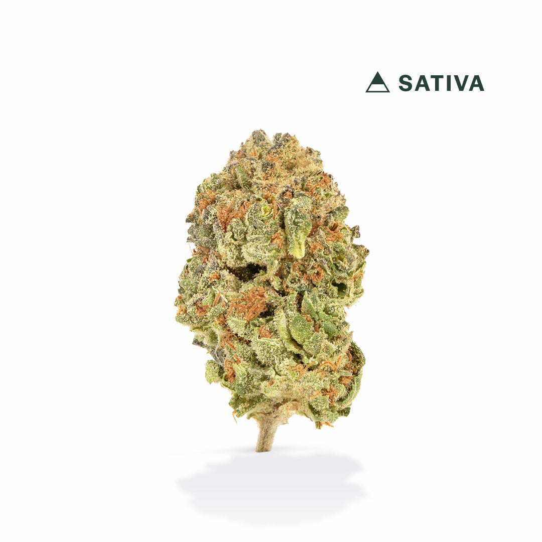 Sundae Driver THCA Flower (Sativa) | VIIA