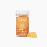 Elevate Focus Gummies - 2mg THC - VIIA