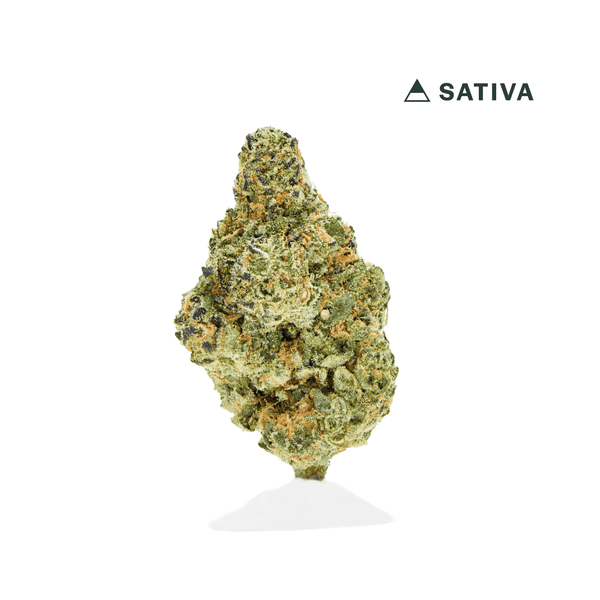 Island Sweet Skunk: Exotic Indoor THCA Flower | VIIA