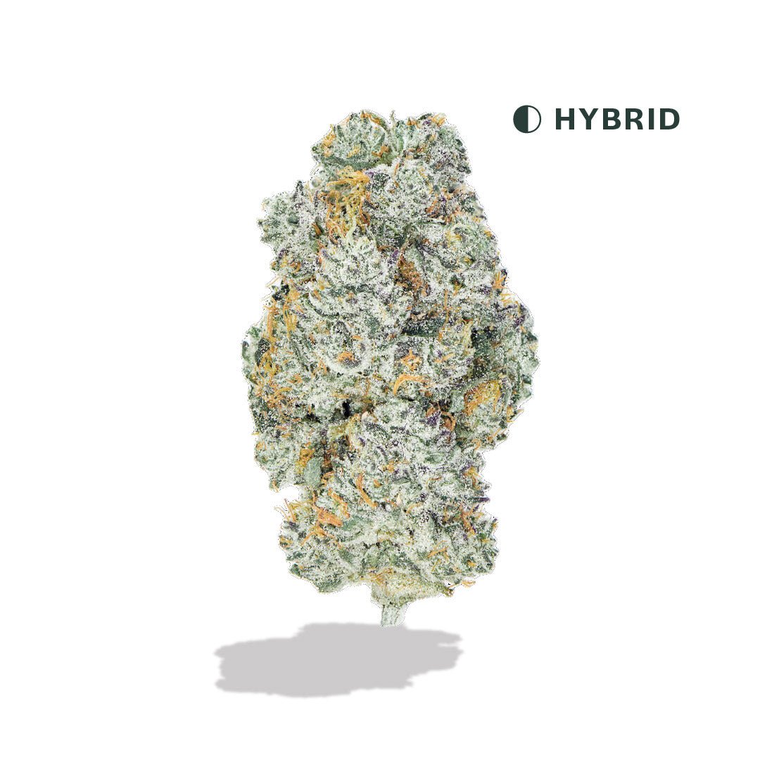 lemon-cherry-gelato-thca-