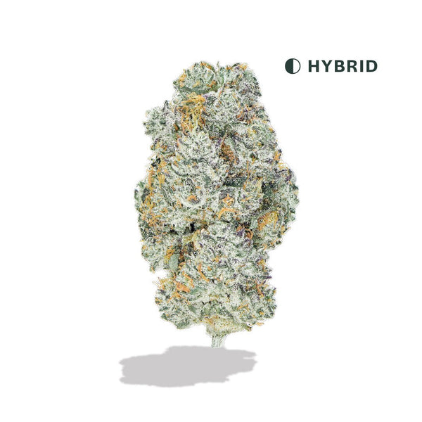 Lemon Cherry Gelato: Exotic Indoor THCA Flower | VIIA