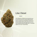 Lilac Diesel THCA Flower