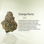 Orange Runtz THCA Flower