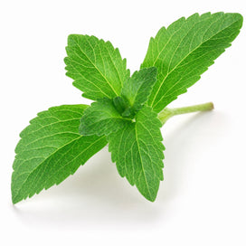natural pepermint