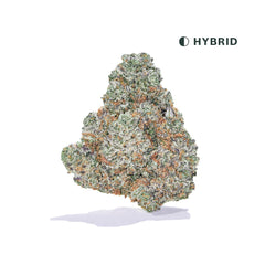 Thin Mints Classic THCA Flower