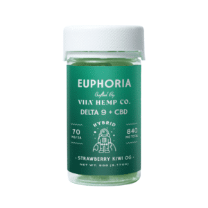Euphoria Hybrid Gummies - 50mg Delta 9 THC +