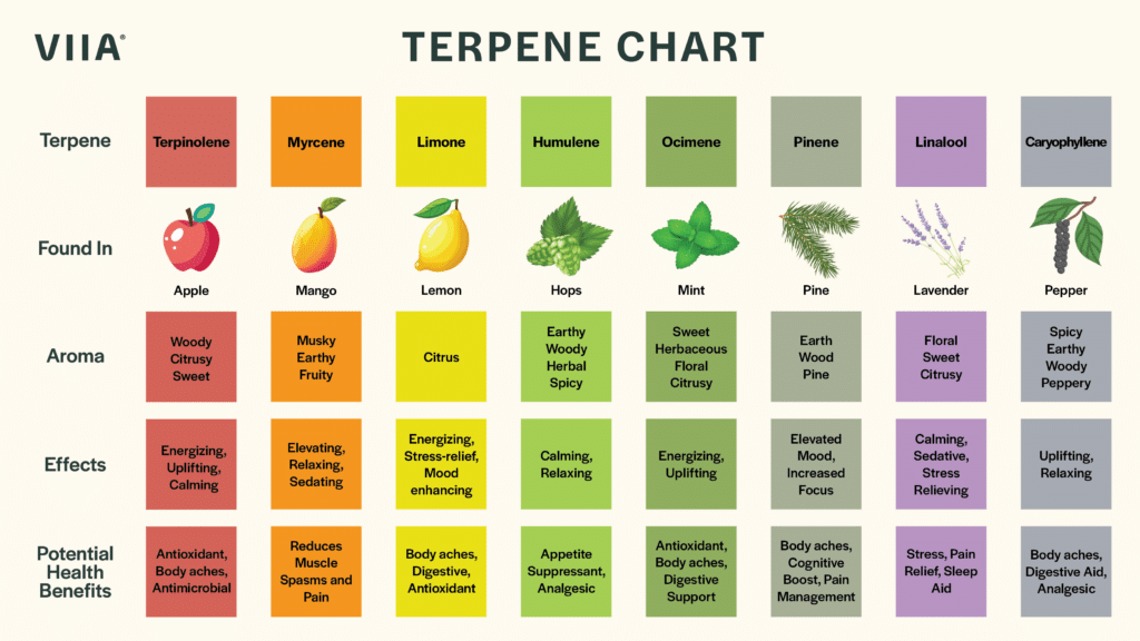 Terpene Chart by VIIA Hemp 